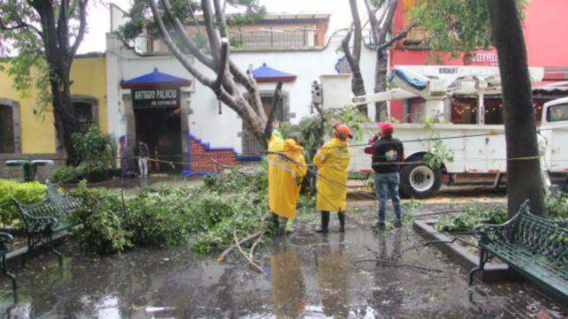 grace afectaciones en cdmx